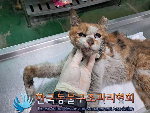 종료(자연사) 한국…