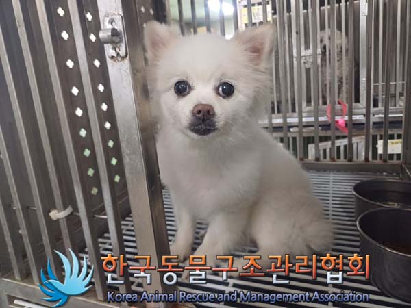 한국동물구조관리협회_411318202400263