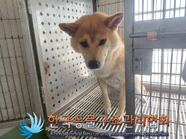 종료(반환) 시바의…