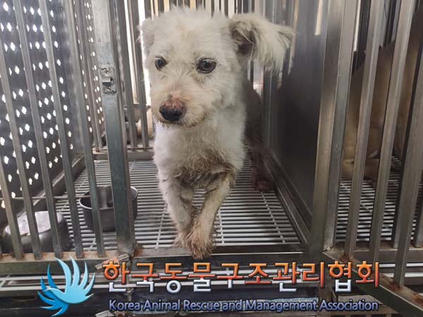 한국동물구조관리협회_441559202400851