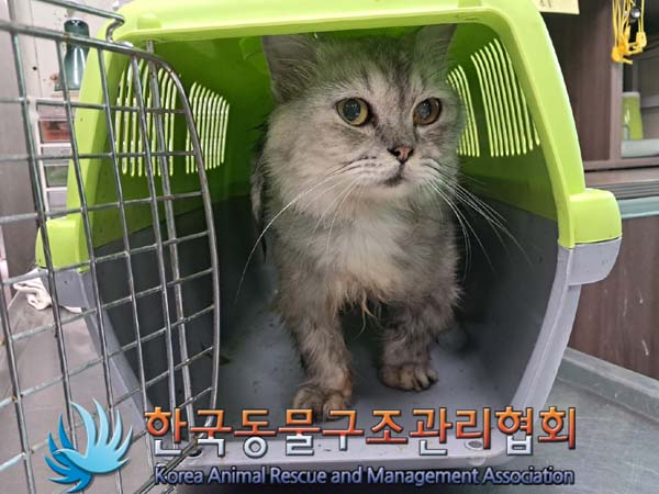 보호중 먼치킨의 가…