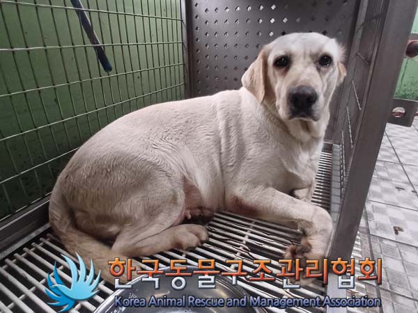 한국동물구조관리협회_441414202400585