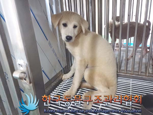 한국동물구조관리협회_441414202400586
