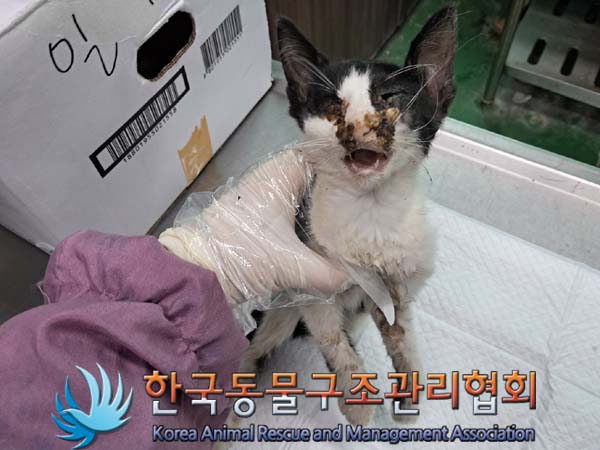 한국동물구조관리협회_411316202400407