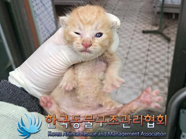 종료(자연사) 한국…