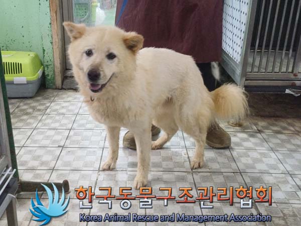 한국동물구조관리협회_441560202400818