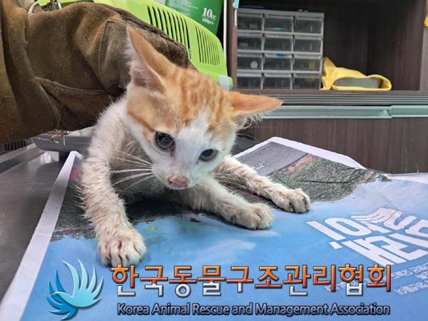 종료(자연사) 한국…