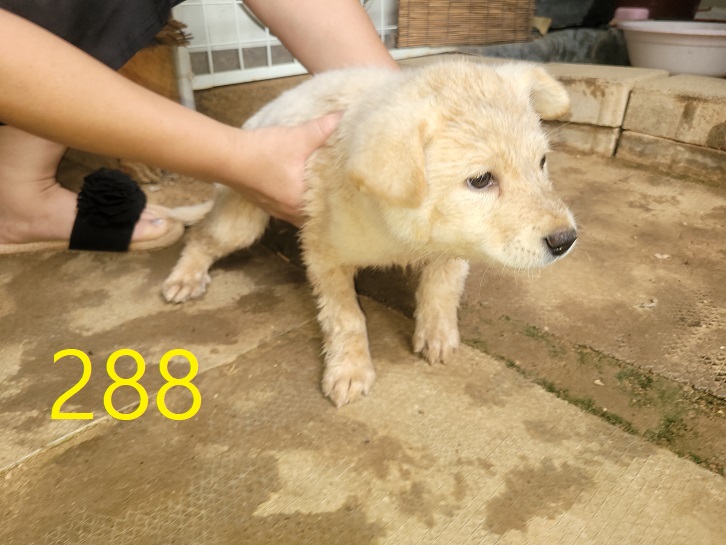 신영재동물병원_428355202400519