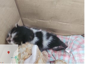대전동물보호센터_430367202400526