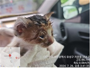 종료(자연사) 코숏…