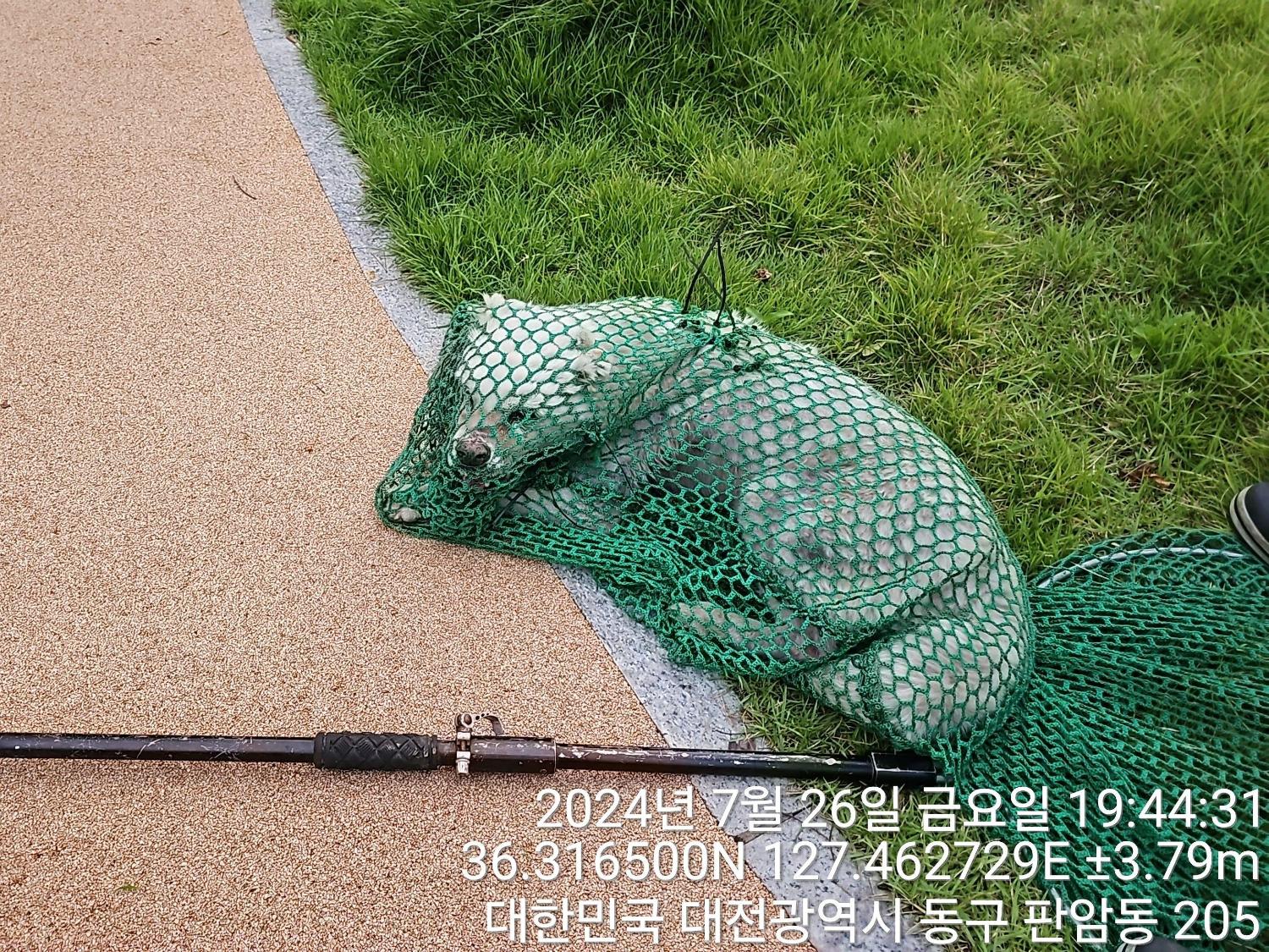 대전동물보호센터_430364202400640
