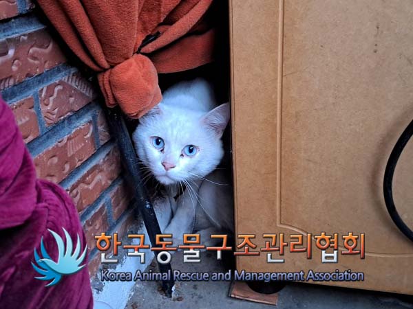 종료(자연사) 한국…