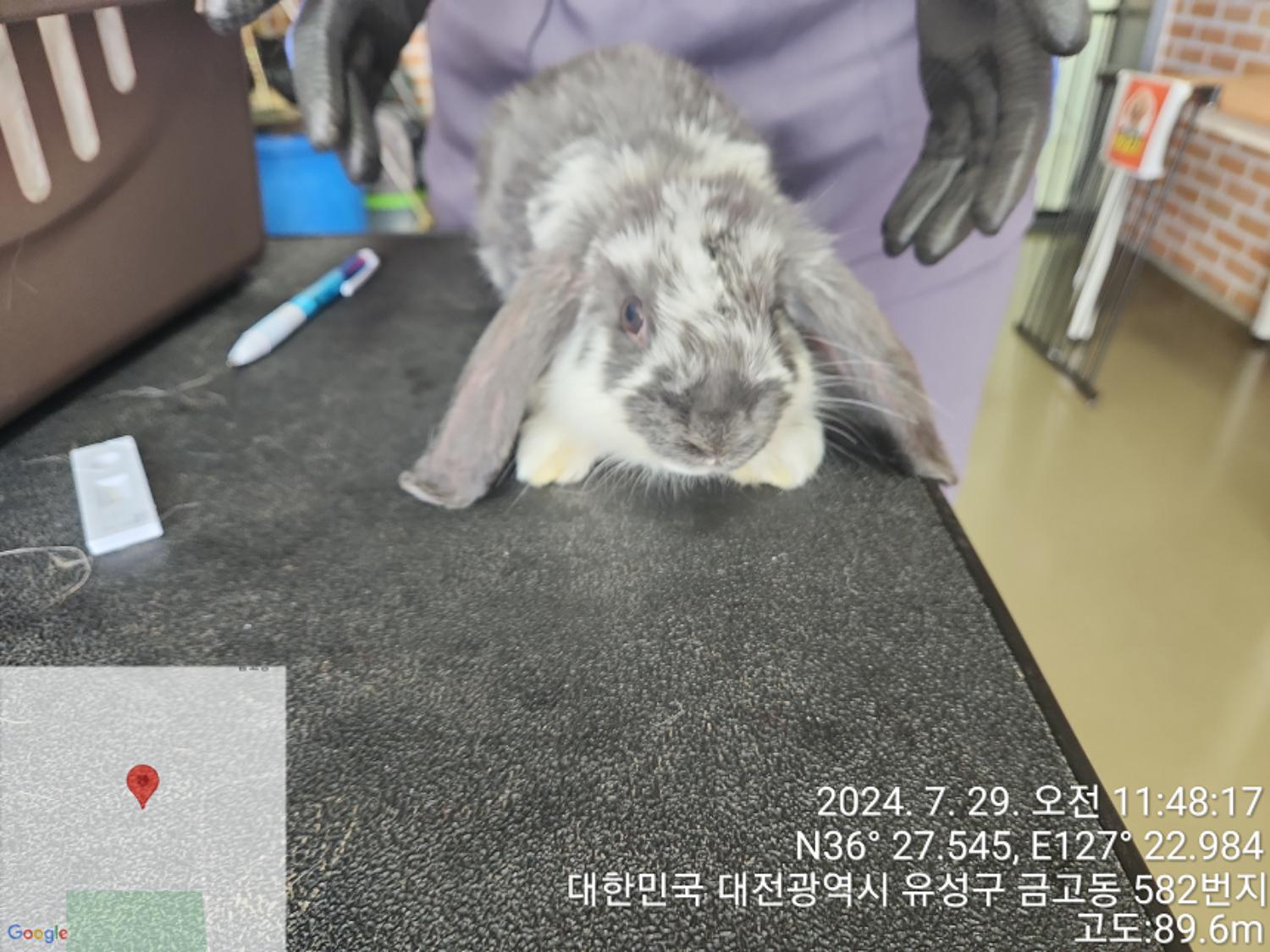 대전동물보호센터_430368202400358