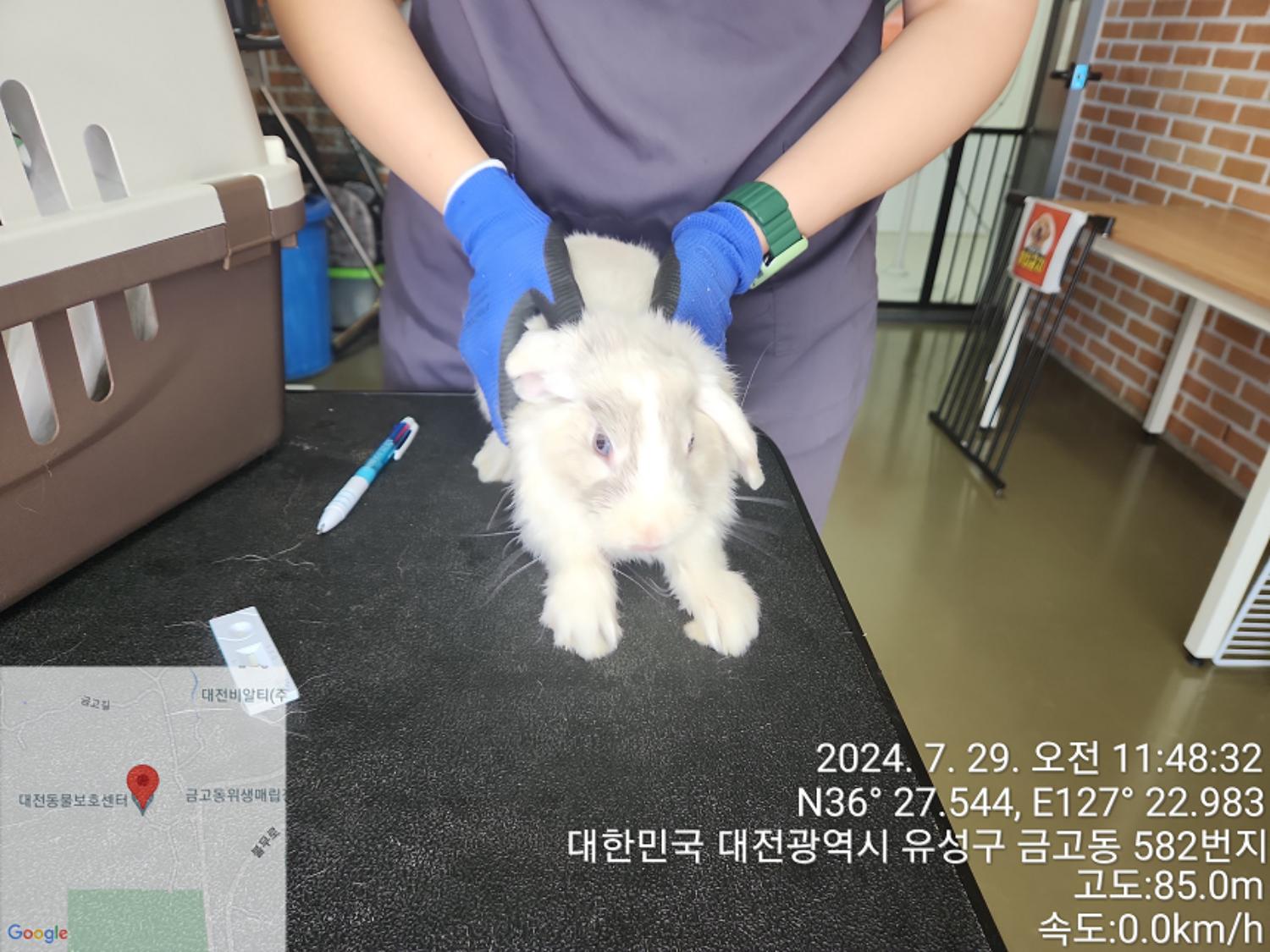대전동물보호센터_430368202400357