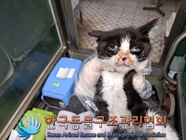 종료(자연사) 한국…