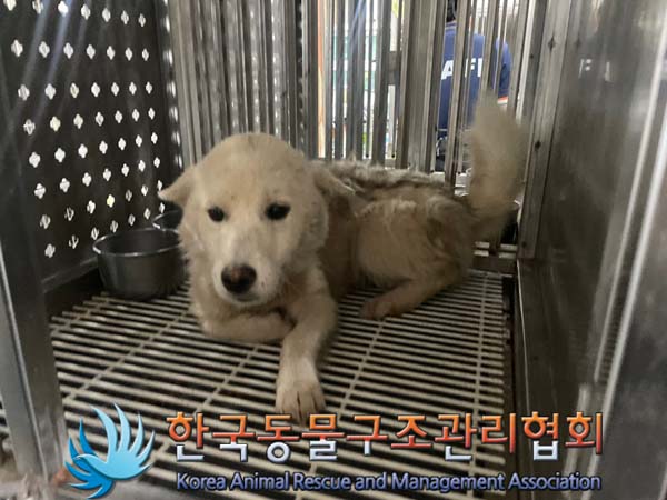 한국동물구조관리협회_441406202401301