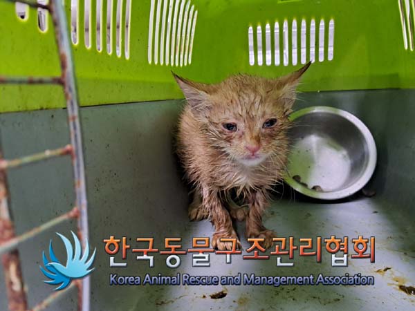 종료(자연사) 한국…