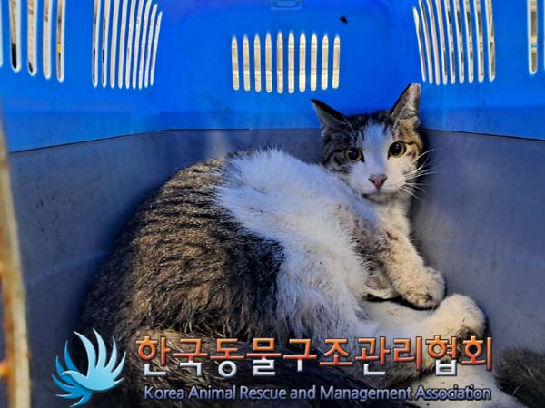 종료(자연사) 한국…