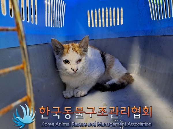 종료(자연사) 한국…