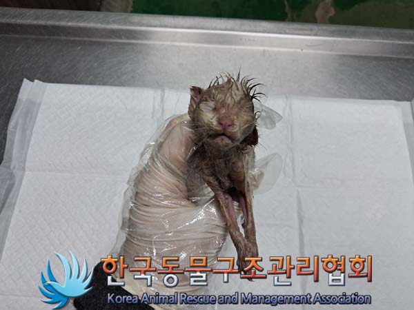 한국동물구조관리협회_441559202400859