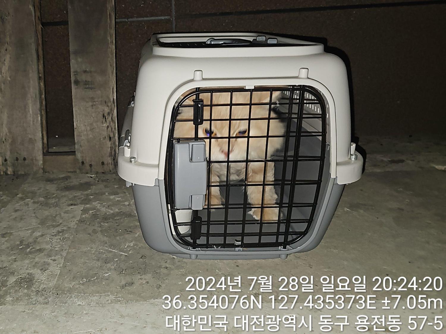 보호중 페르시안의 …