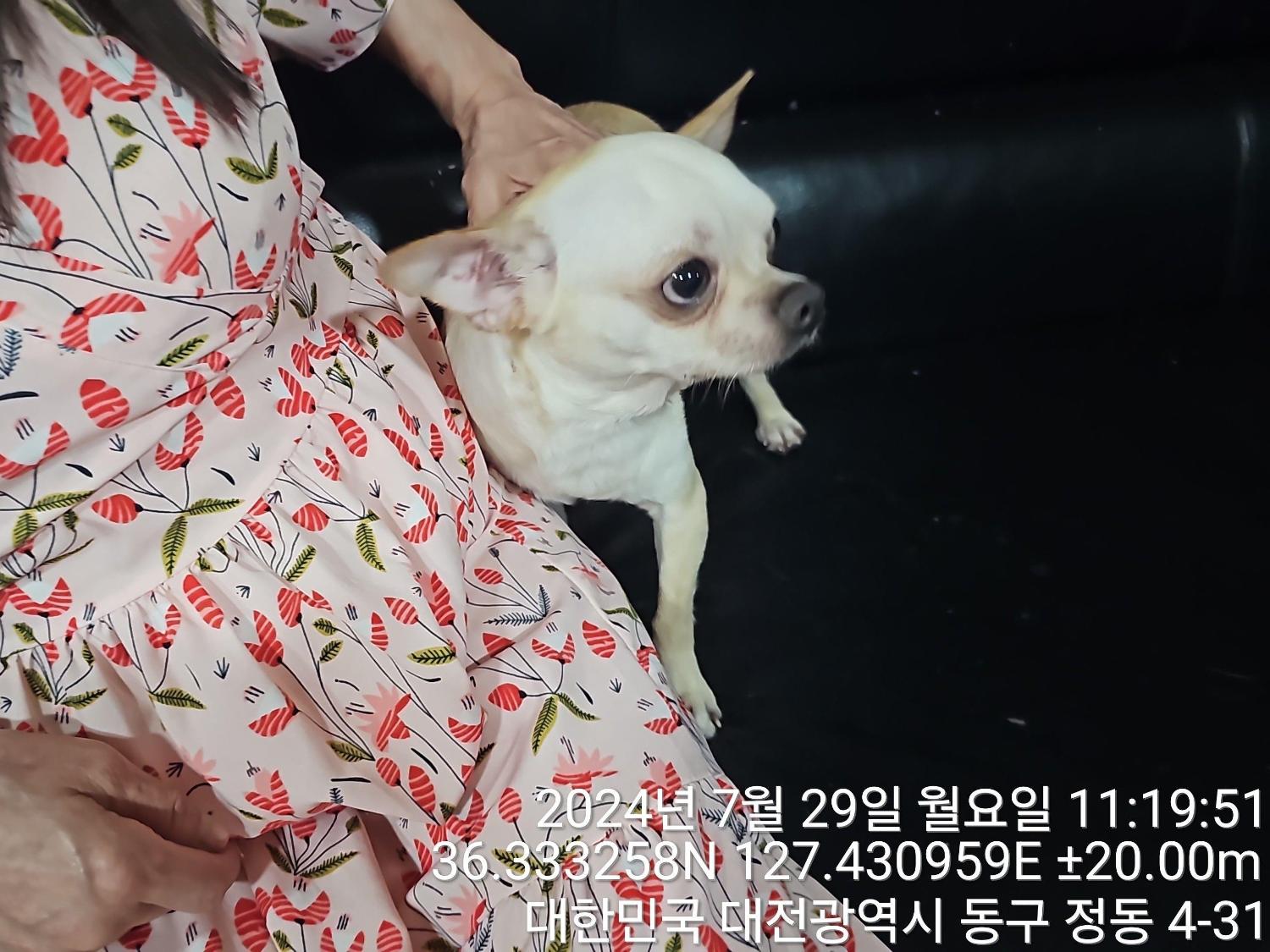 대전동물보호센터_430364202400644