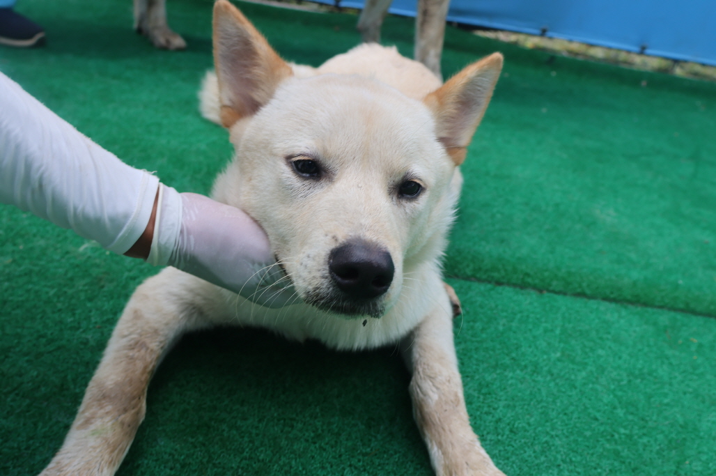 제주 동물보호센터_450650202402250