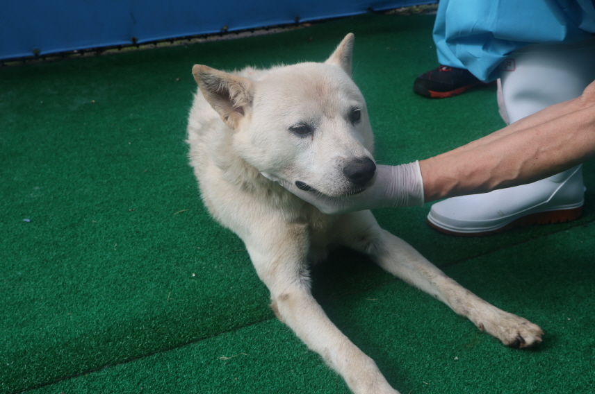 제주 동물보호센터_450650202402246