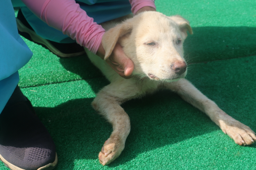 제주 동물보호센터_450650202402235