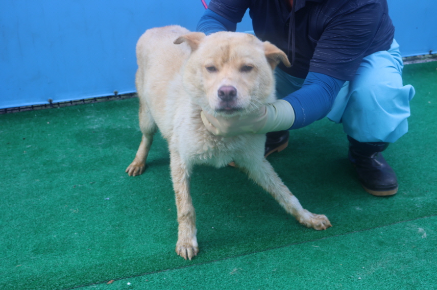 제주 동물보호센터_450650202402249