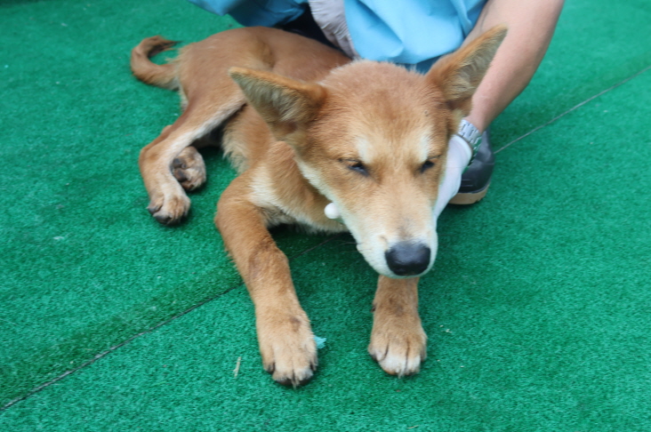 제주 동물보호센터_450650202402252