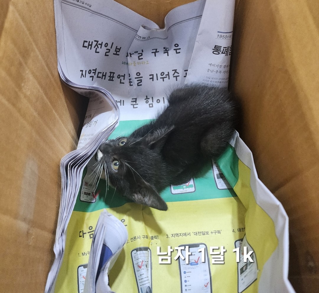 옥천동물병원_443443202400608