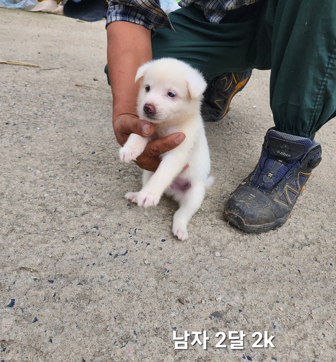 옥천동물병원_443443202400611