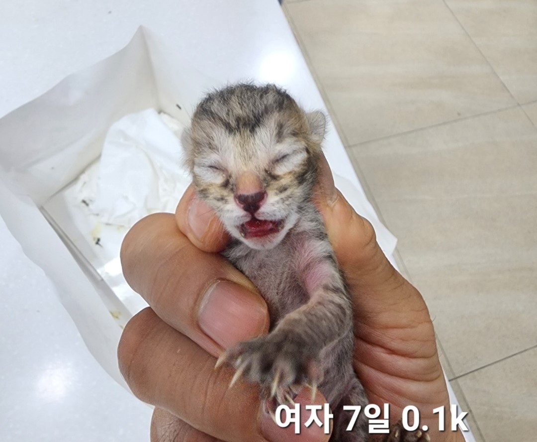 옥천동물병원_443443202400609