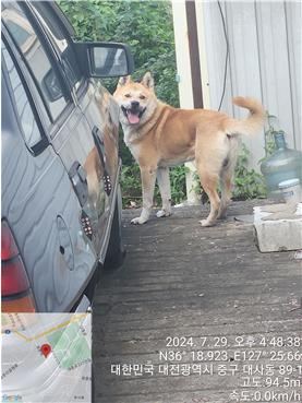 대전동물보호센터_430365202400338