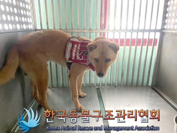 한국동물구조관리협회_441404202400389