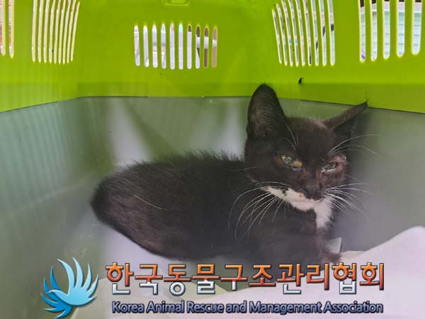 종료(자연사) 한국…