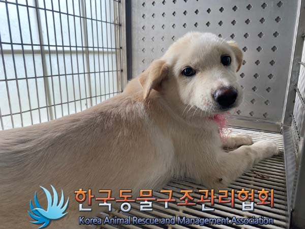 한국동물구조관리협회_441414202400588
