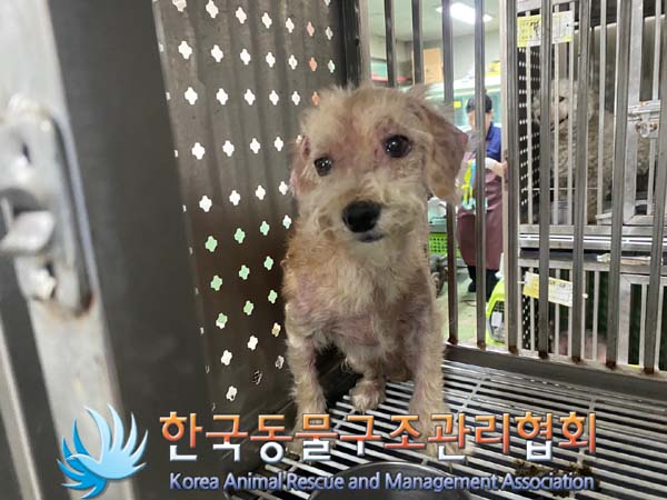 한국동물구조관리협회_411316202400409