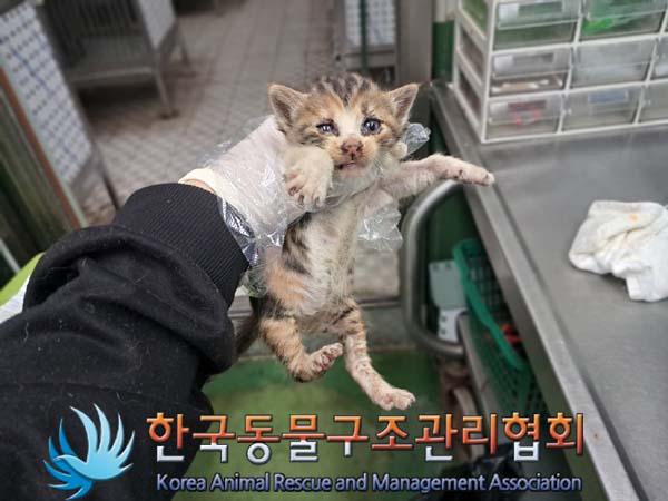 종료(자연사) 한국…