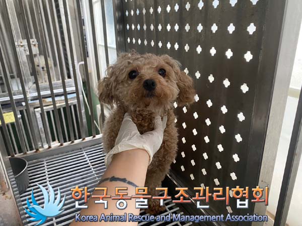 한국동물구조관리협회_411315202400396