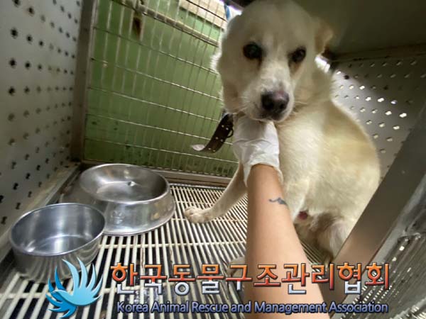 한국동물구조관리협회_441406202401303