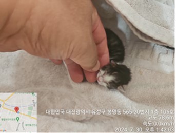 대전동물보호센터_430367202400532