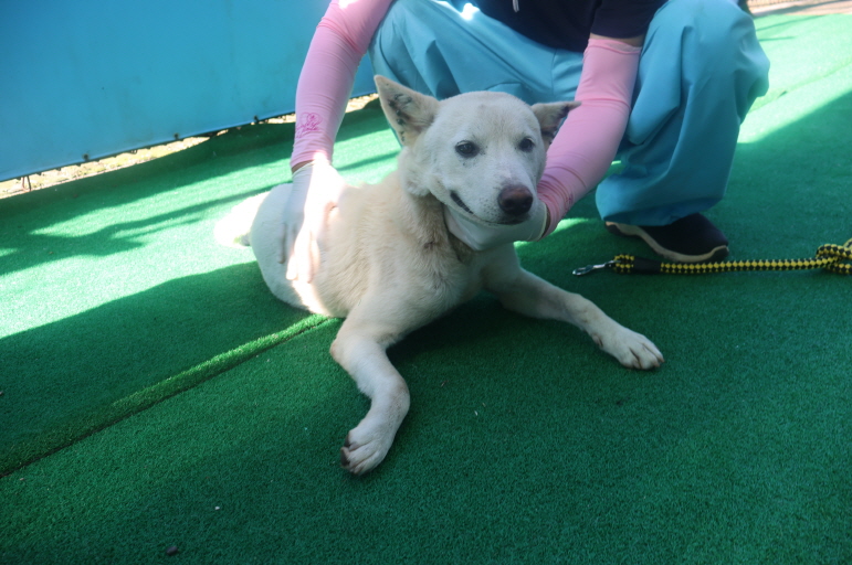 제주 동물보호센터_450650202402259