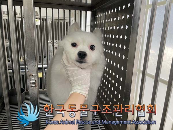 한국동물구조관리협회_411309202400242