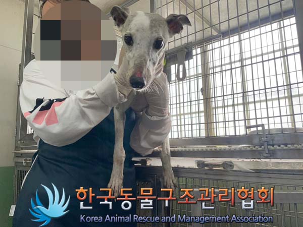 종료(자연사) 그레…