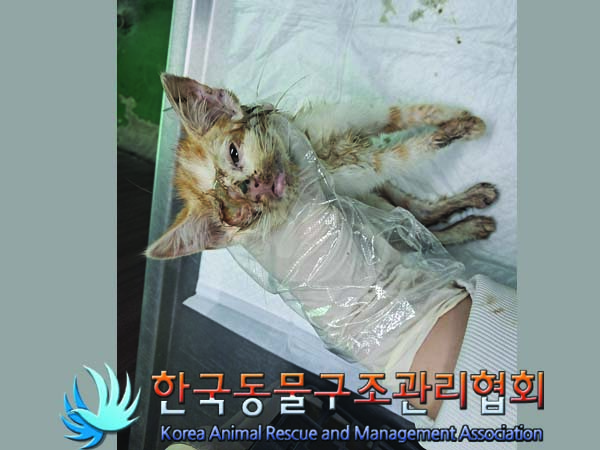 종료(자연사) 한국…