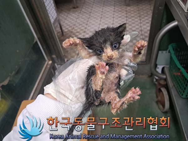 종료(자연사) 한국…