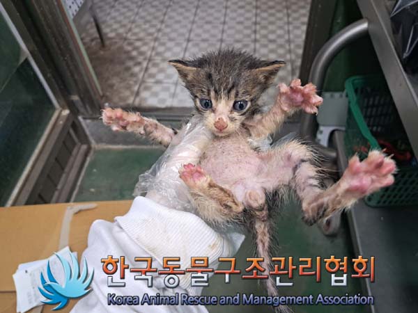 한국동물구조관리협회_441404202400391