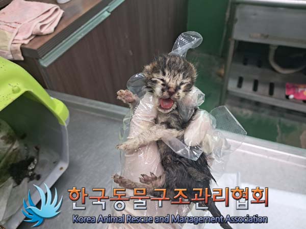 한국동물구조관리협회_411310202400582